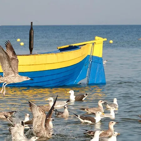 Mierzeja - Baltic Twins,