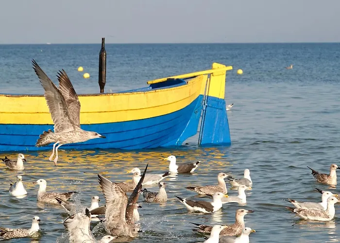 Mierzeja - Baltic Twins,